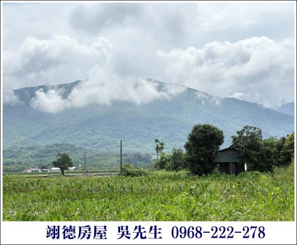 高樹農地-4