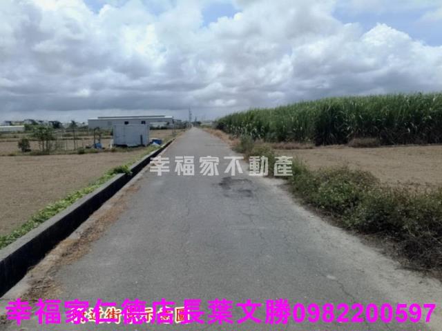 佳里農地-10