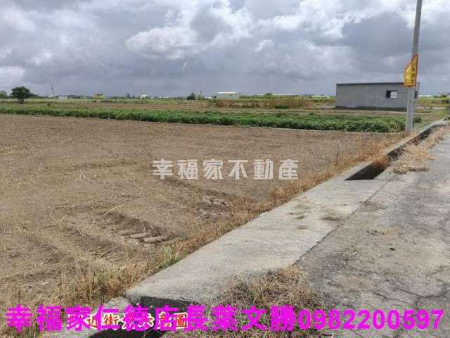 佳里農地-25