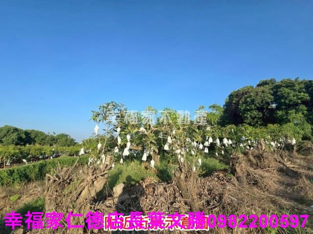 官田農地-28