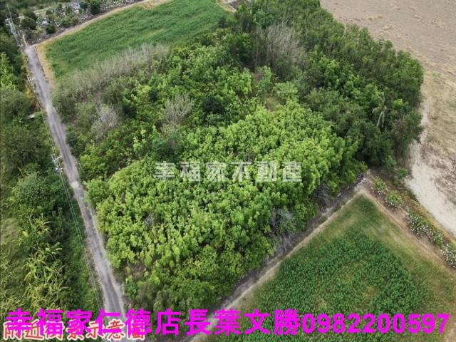台南農地-14