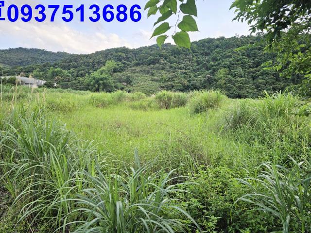 宜蘭農地-3