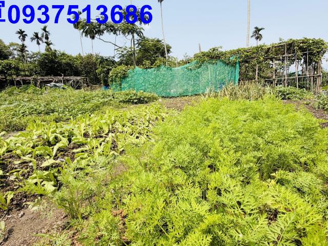 宜蘭農地-9