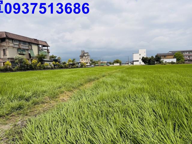 宜蘭農地-4