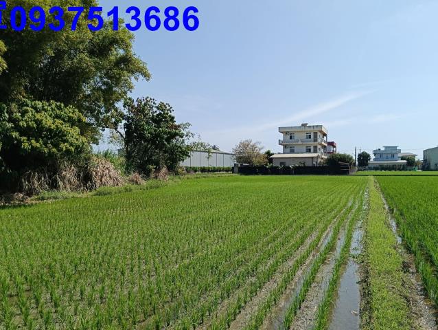 宜蘭農地-2