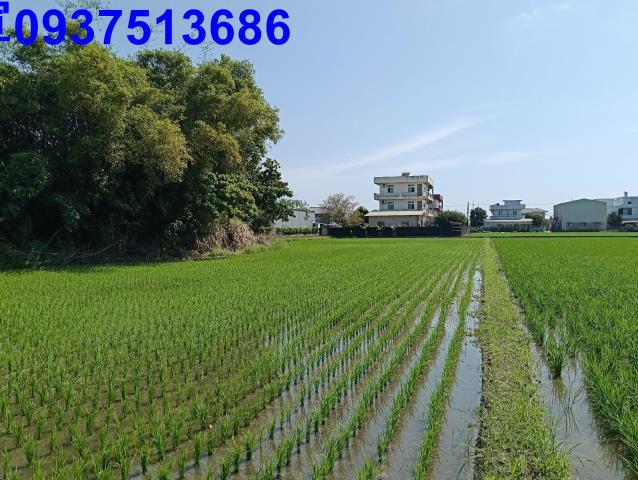 宜蘭農地-1