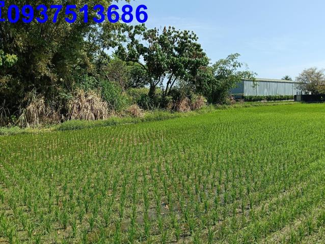 宜蘭農地-5