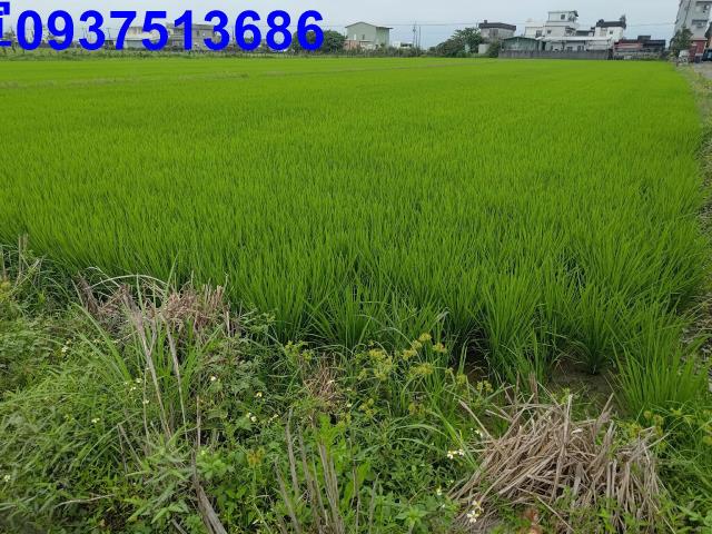 宜蘭農地-4