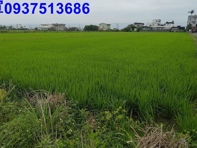 宜蘭農地-5