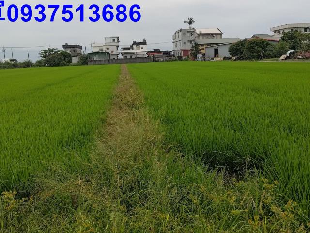 宜蘭農地-9