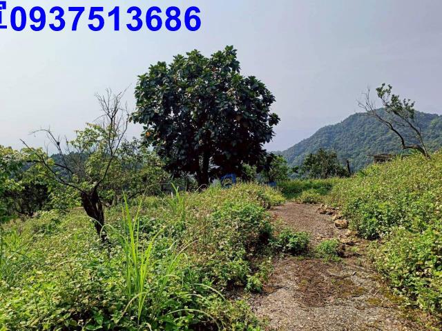 宜蘭員山農地-1