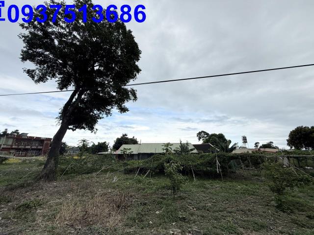 宜蘭頭城農地-4