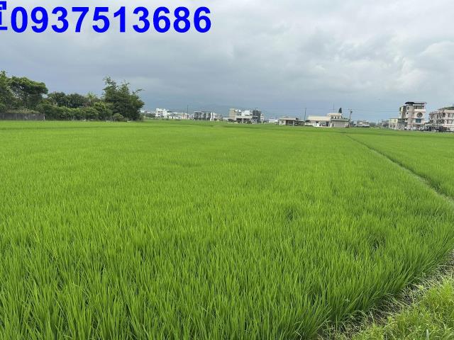 宜蘭宜蘭市農地-3