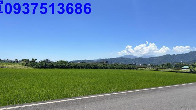 宜蘭三星農地-1