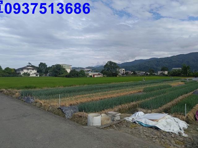 宜蘭三星農地-10