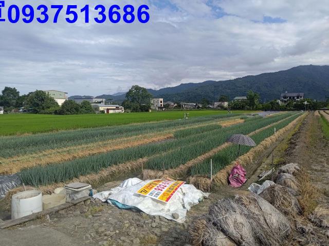 宜蘭三星農地-12
