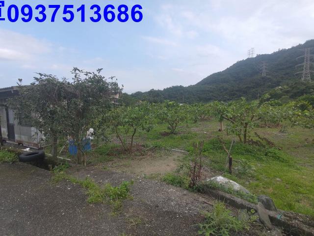宜蘭員山農地-1