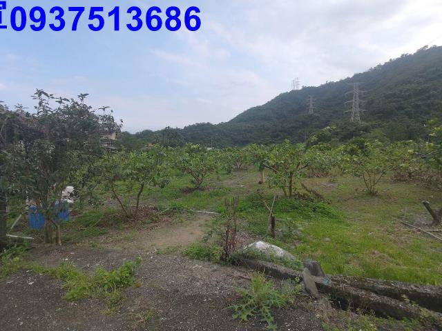 宜蘭員山農地-4