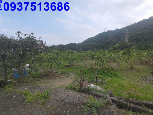 宜蘭員山農地-6