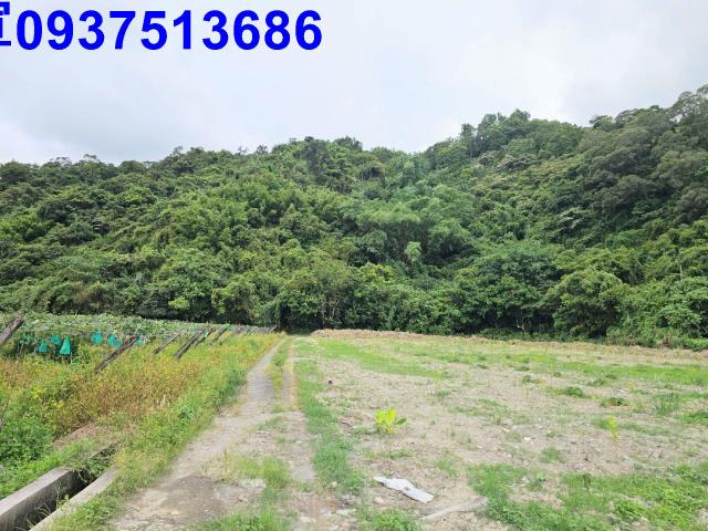 宜蘭員山農地-1