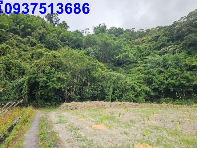 宜蘭員山農地-4