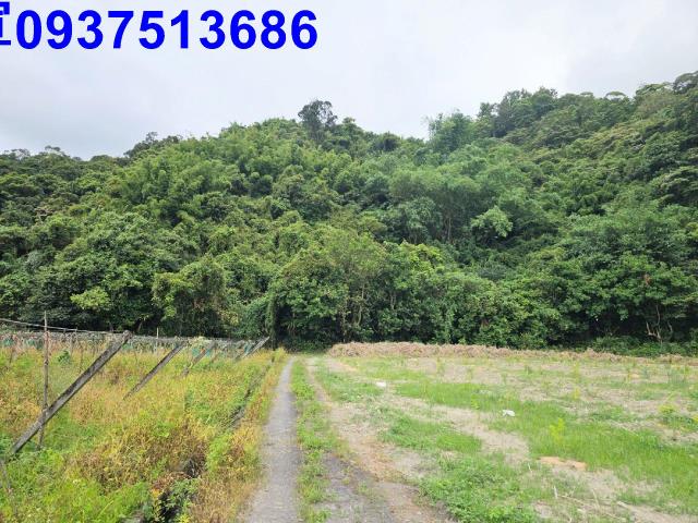 宜蘭員山農地-5