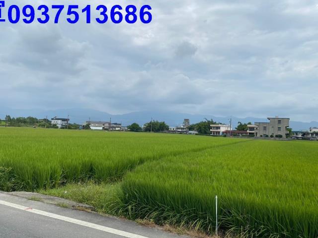 壯圍農地-4