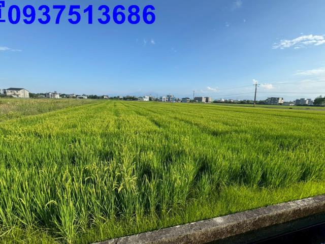 員山農地-3