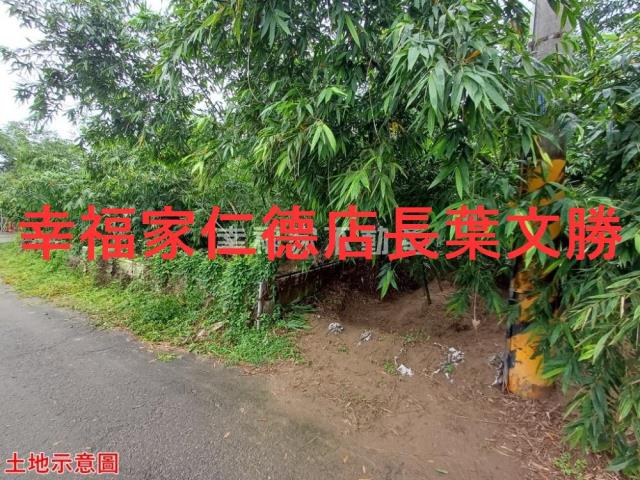 歸仁農地-8