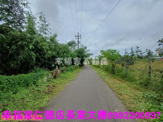 歸仁農地-3