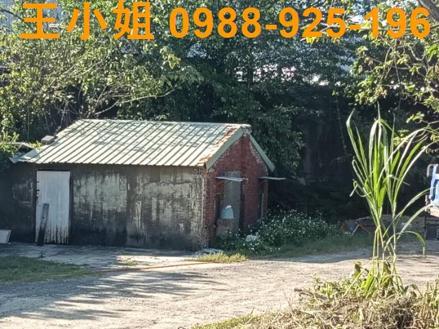 鶯歌農地-4