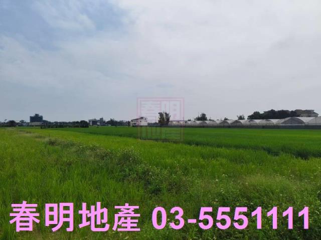 新豐農地-3