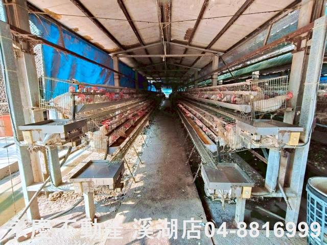 埔鹽農地-9
