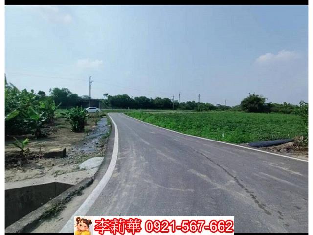 新市農地-5