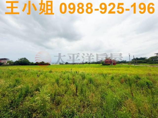 桃園中壢農地-3
