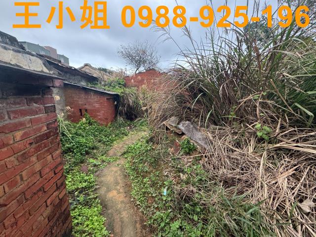桃園蘆竹建地-3