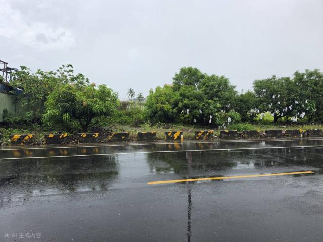 高雄岡山農地-8