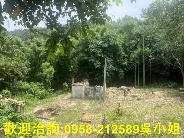 新竹新埔建地-6