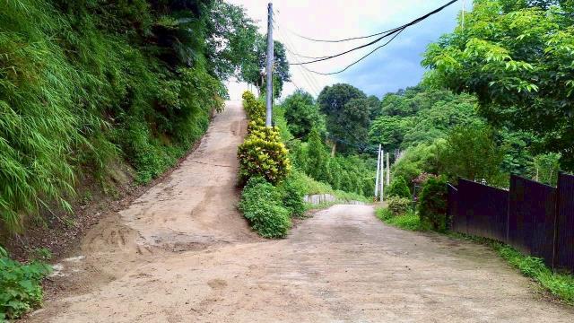 寶山山坡地-15