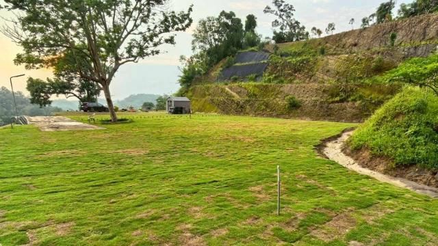 寶山山坡地-3