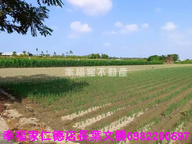 台南安定農地-2
