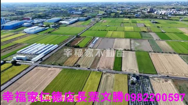 台南佳里農地-8