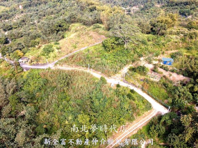 台南新化林地-1