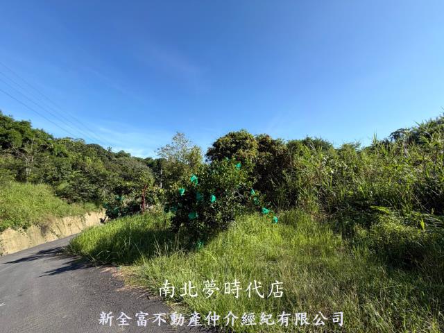 台南新化林地-8