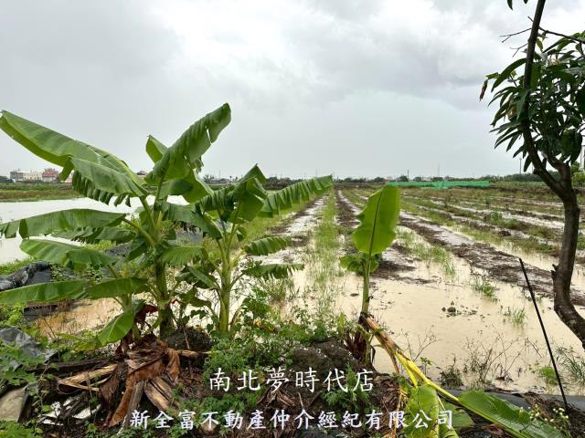 台南鹽水農地-12