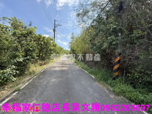 玉井農地-5