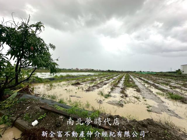 鹽水農地-2