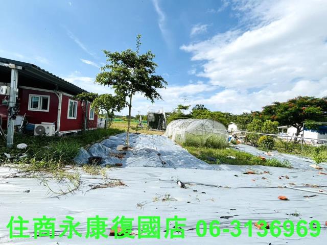 台南關廟農地-4