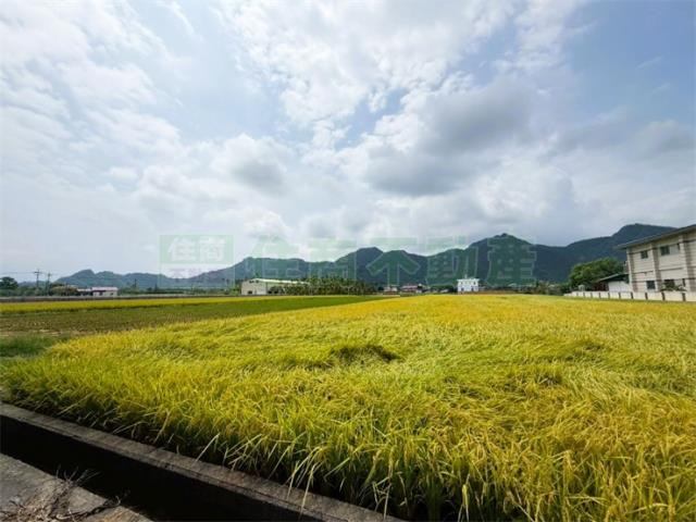 高雄美濃農地-10