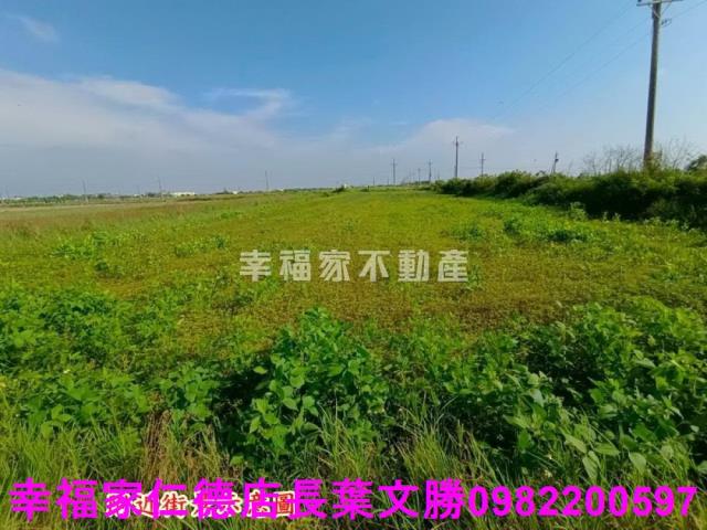 將軍農地-4